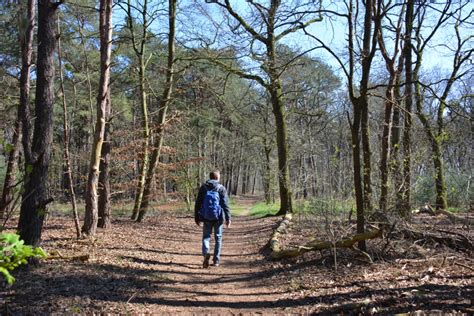 wandelen drunense duinen.